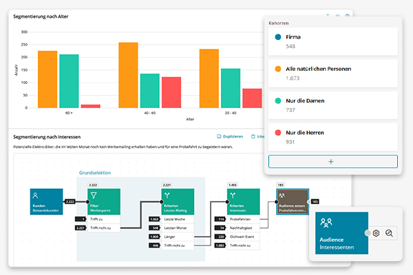 Visualization of audiences (comparison groups) in the Insight module of the BSI Customer Suite - dynamic reports by age, interests and cohorts for targeted segmentation.