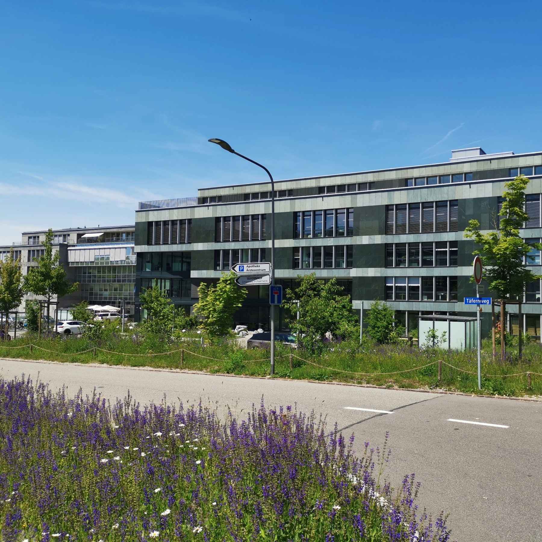BSI Software Standort in Baden – Aussenaufnahme des modernen Bürogebäudes am Täfernweg, umgeben von blühender Wiese und Bäumen.